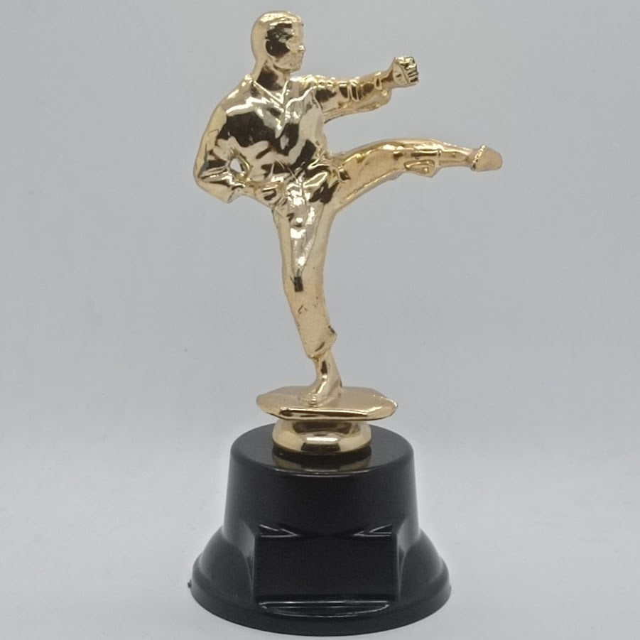 Trofeo Karate 15cm